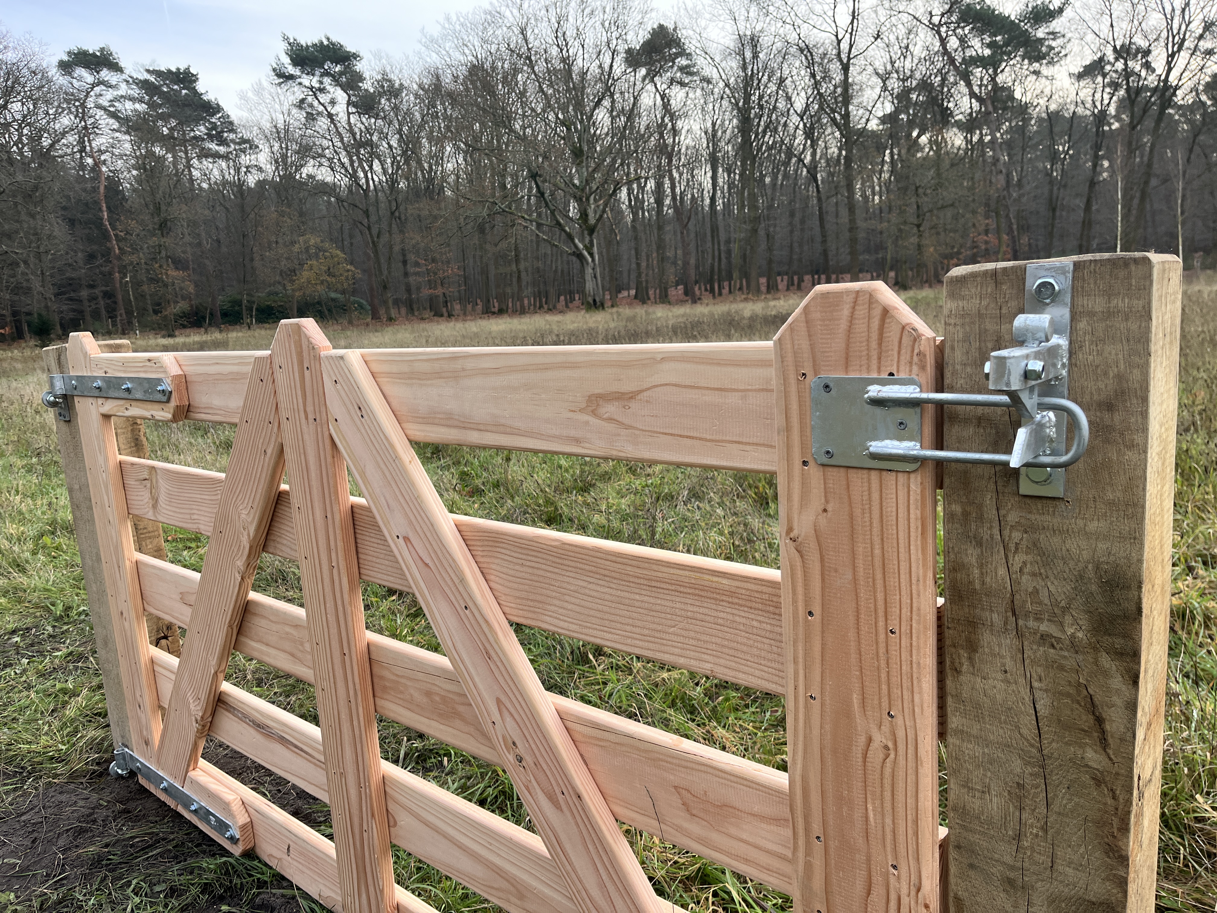 Douglas robuust toegangspoort.